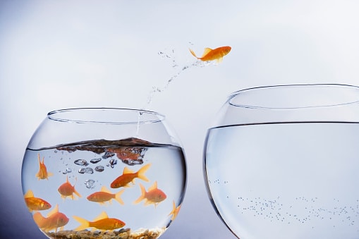 3 Reasons I Am Excited During This Down Market